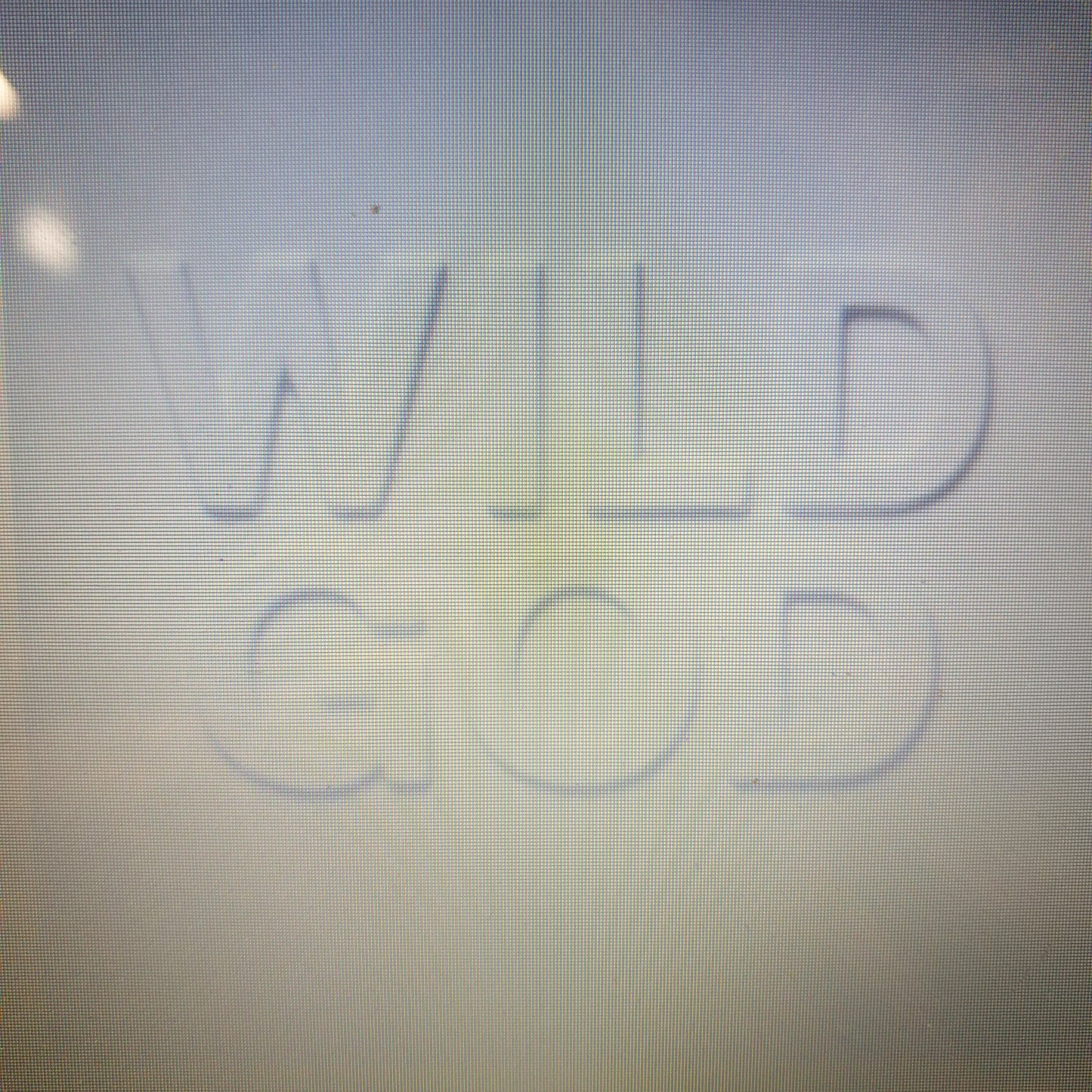 NICK CAVE & THE BAD SEEDS - WILD GOD VINYL