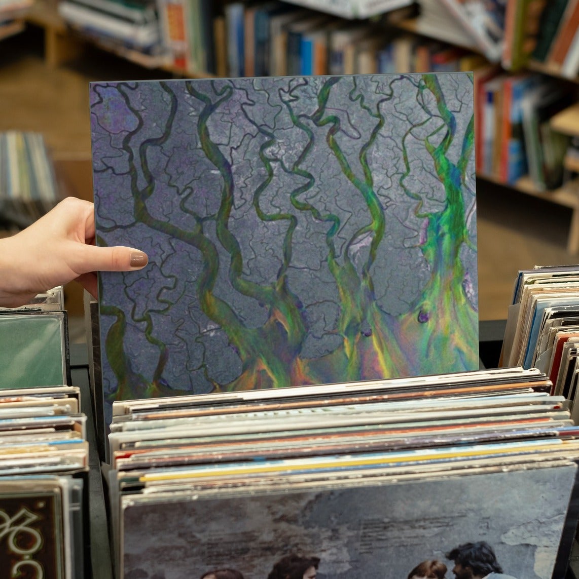 Alt-J - An Awesome Wave - Vinyl LP Record
