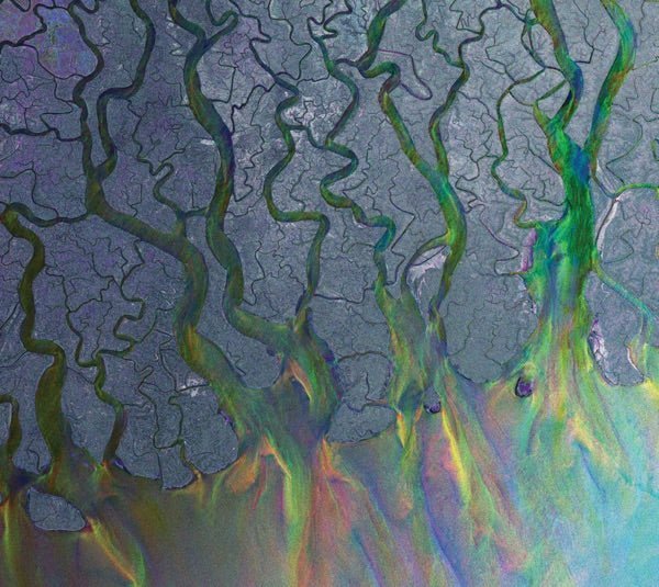 Alt-J - An Awesome Wave - White Vinyl LP Record