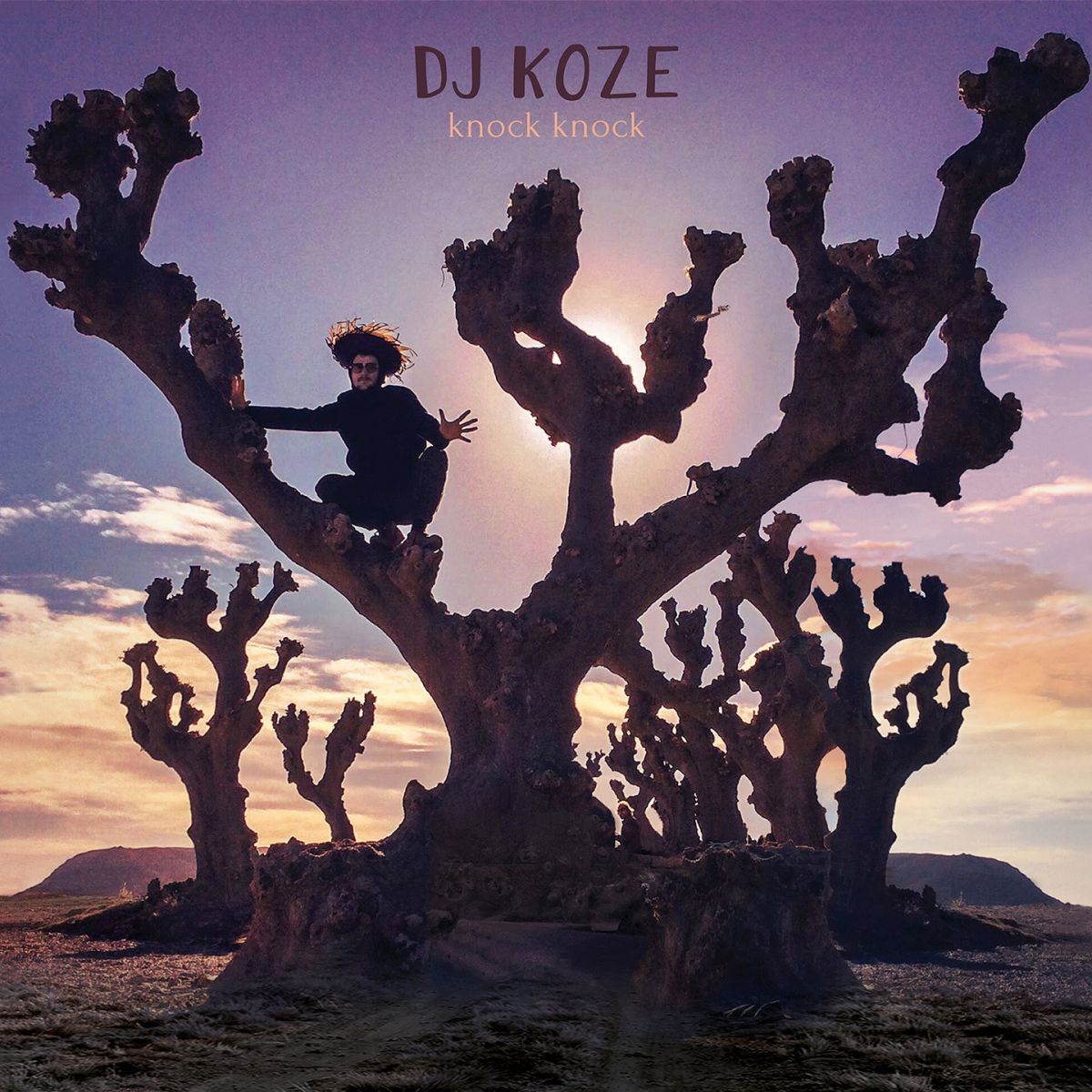 DJ Koze - Knock Knock - Vinyl LP Record