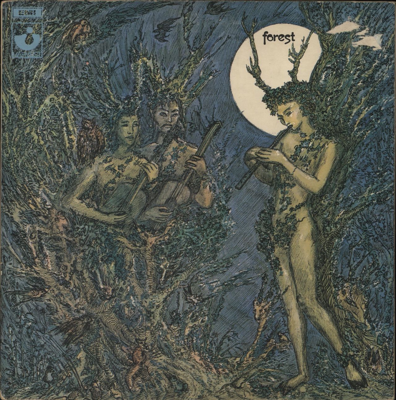 Forest Forest UK Vinyl LP