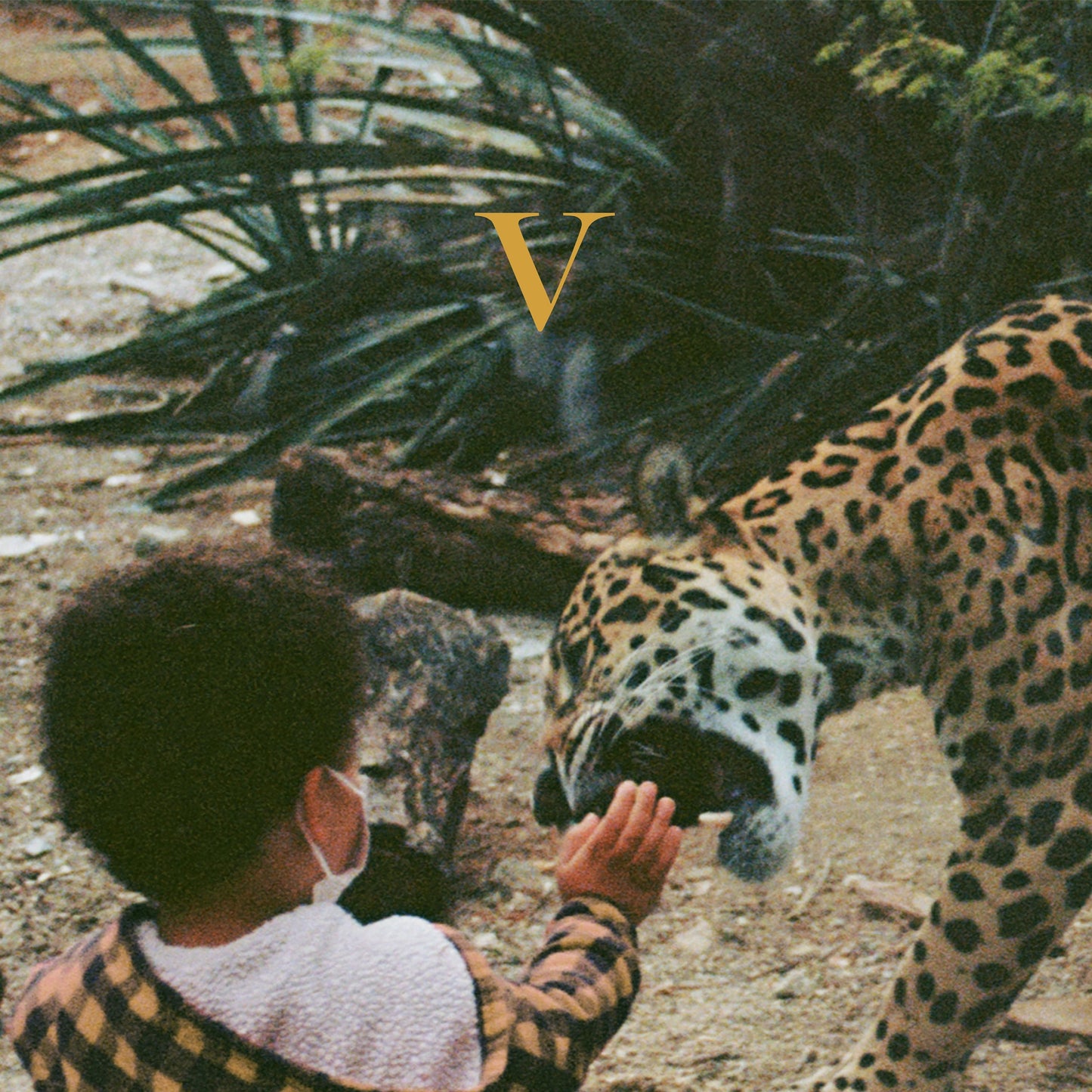 Unknown Mortal Orchestra - V (Legendary Edition Golden Nugget 2xLP)