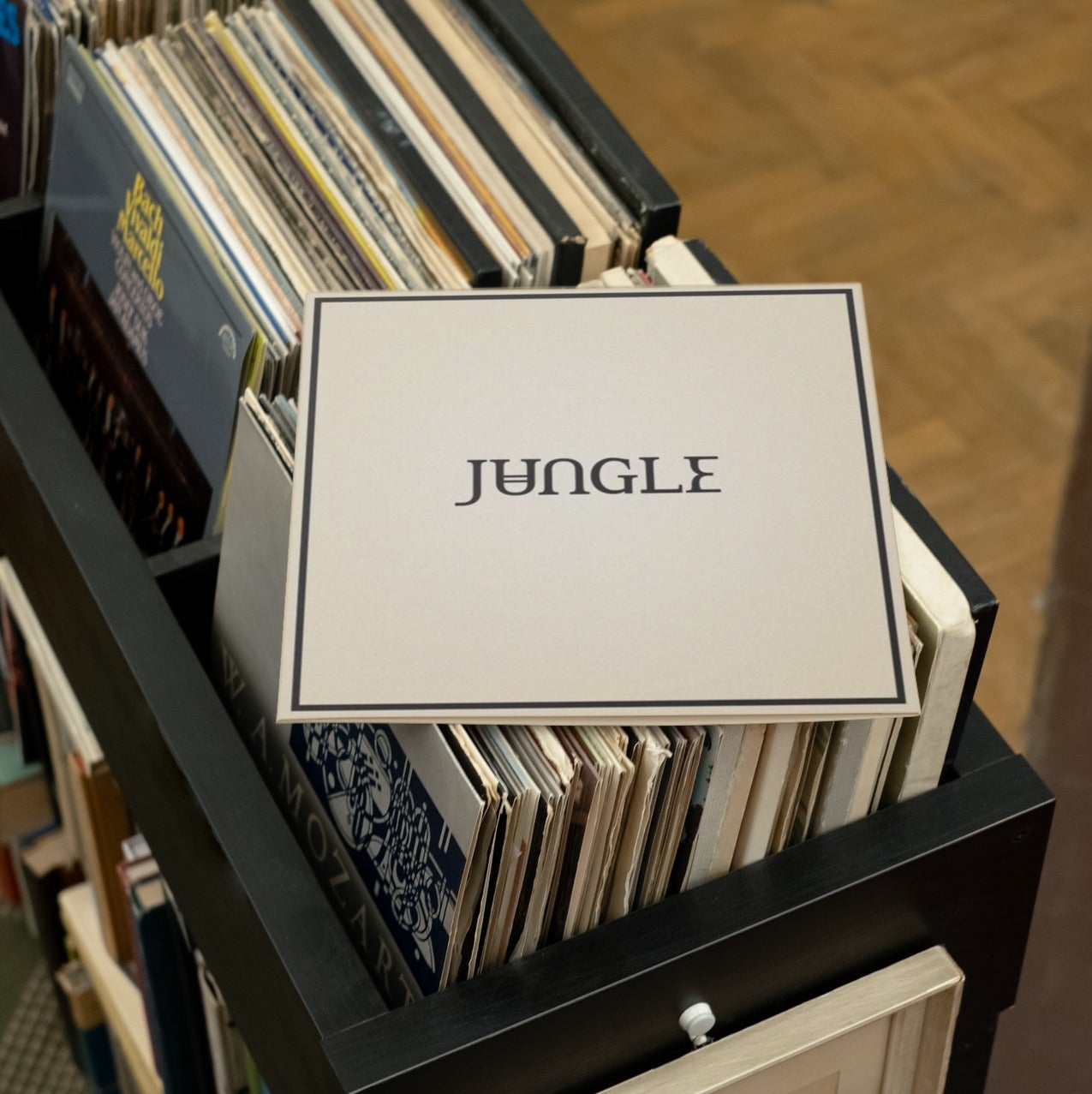 Jungle - Loving In Stereo - Vinyl LP Record