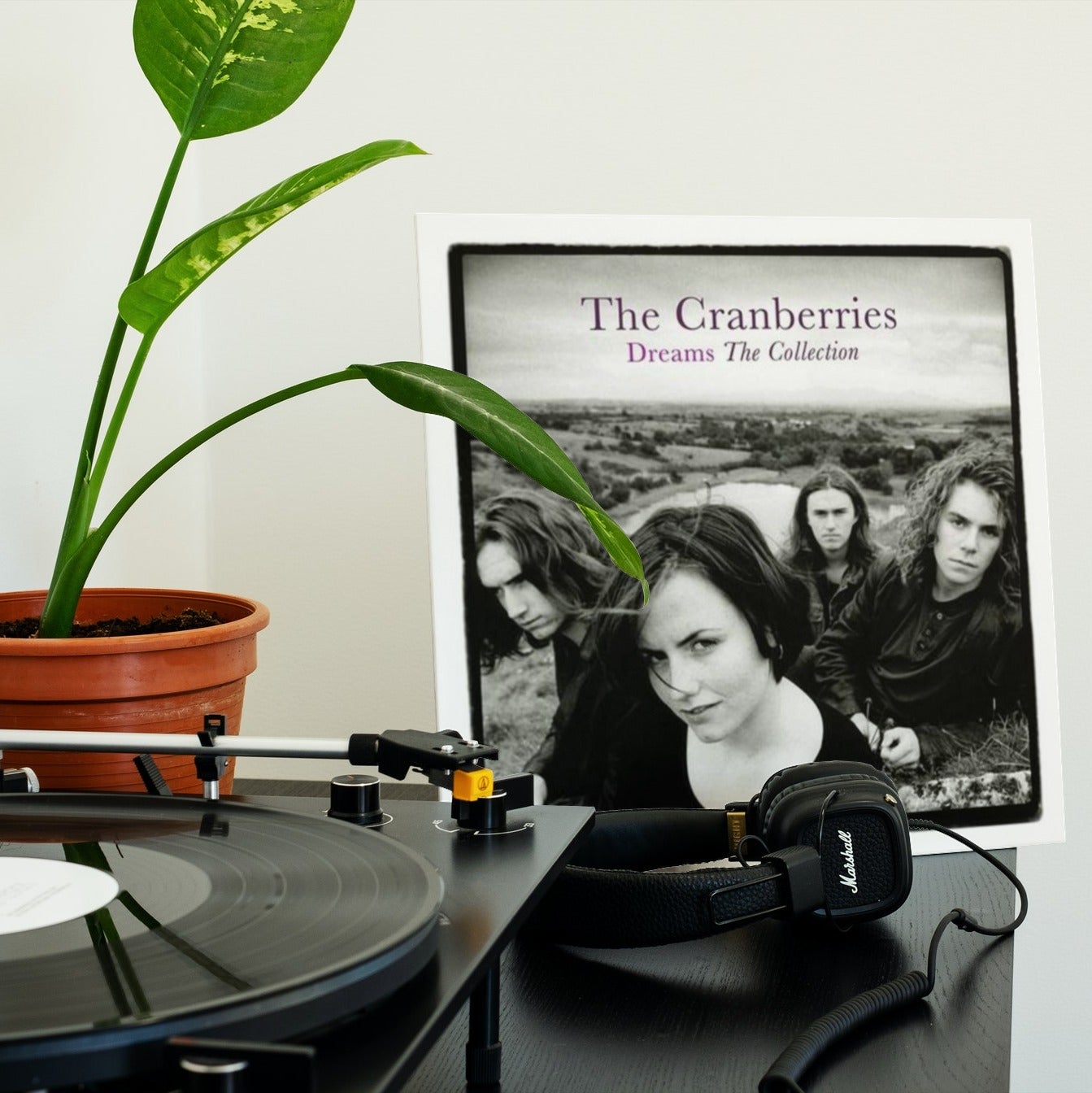 The Cranberries - Dreams: The Collection - Vinyl LP Record