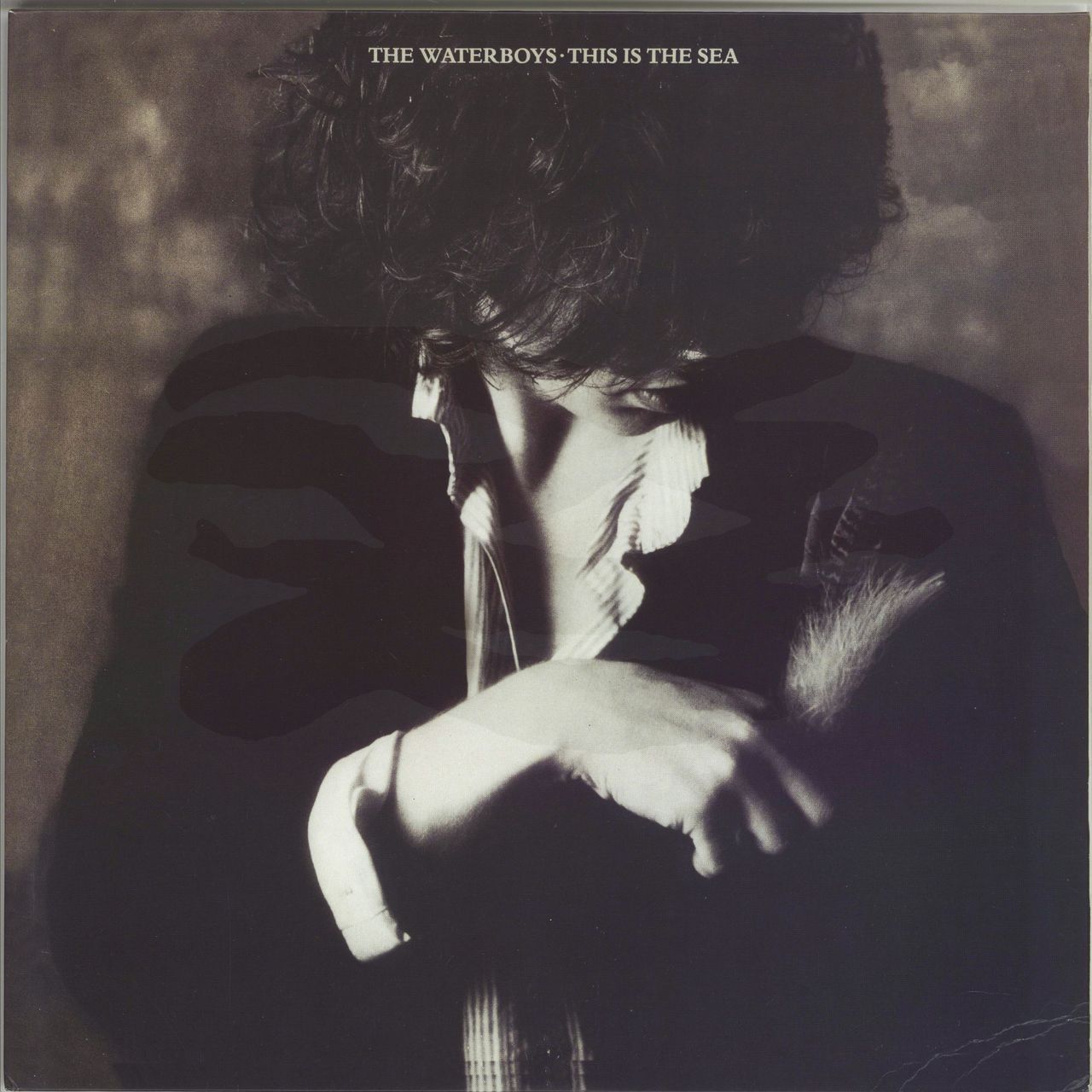 The Waterboys This Is The Sea - 180gm UK Vinyl LP