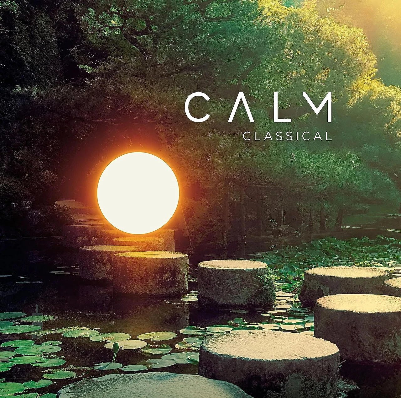Various Artists - Calm Classical - Vinyl LP Record