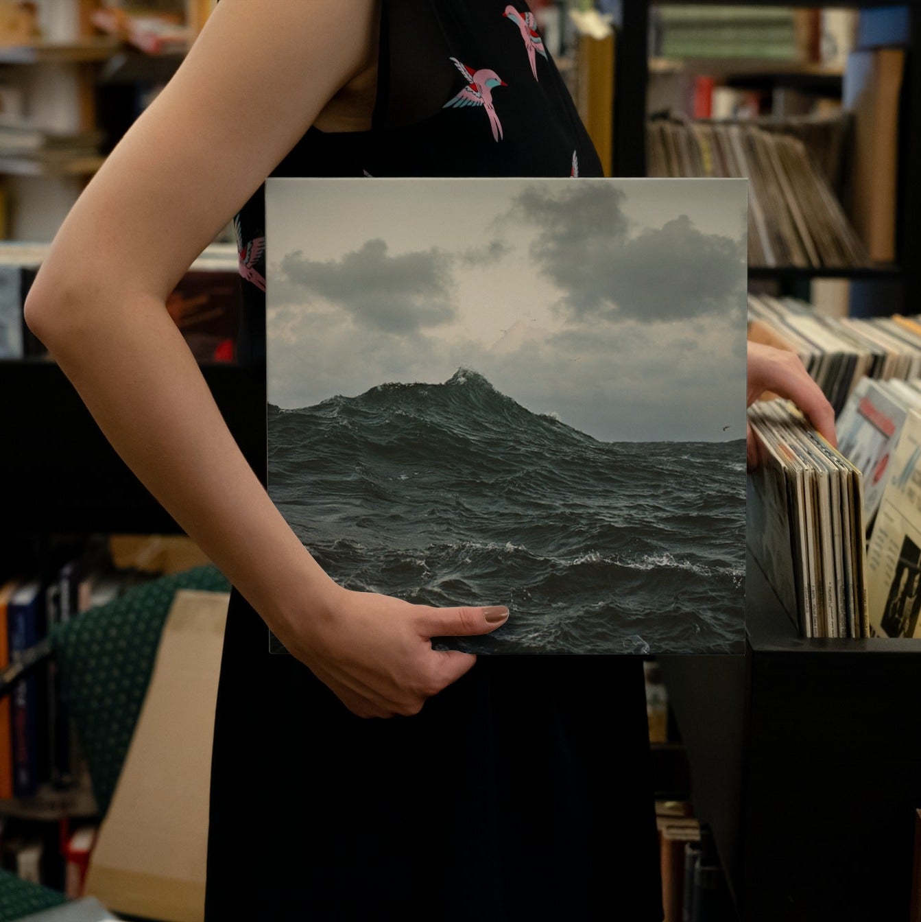 Volcano Choir - Repave - Vinyl LP Record