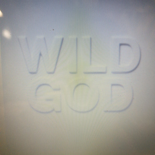 NICK CAVE & THE BAD SEEDS - WILD GOD VINYL
