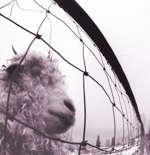 Pearl Jam - VS. (Remastered) - (Vinyl LP)
