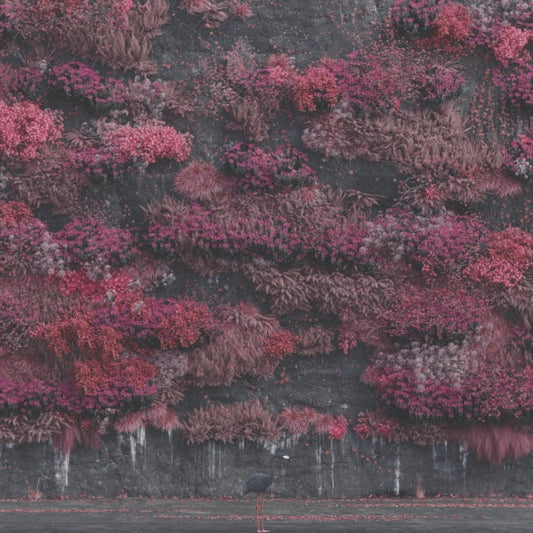 Sleep Token - Even In Arcadia [2LP]