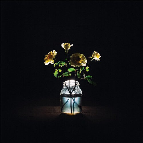 Billy Strings - Renewal (Vinyl 2LP)