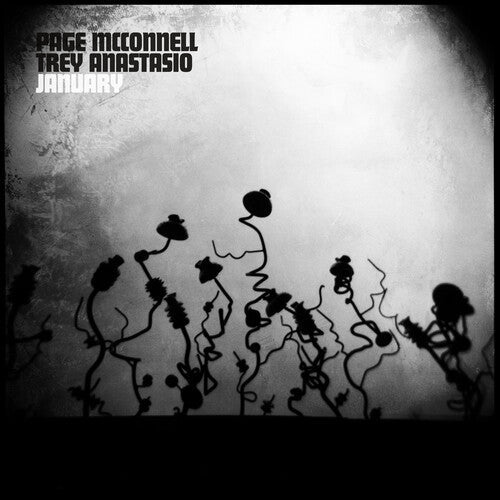 [DAMAGED] Page McConnell and Trey Anastasio - January