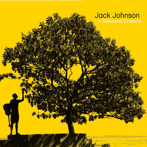 Johnson, Jack: In Between Dreams - VINYL LP