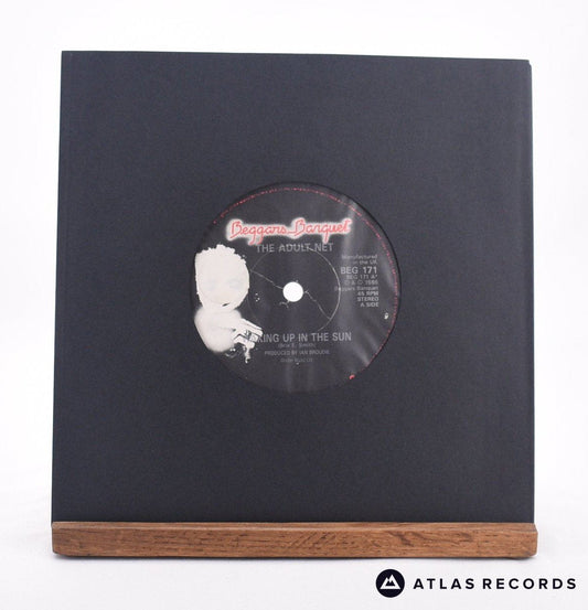 Adult Net - Waking Up In The Sun - 7" Vinyl Record - EX