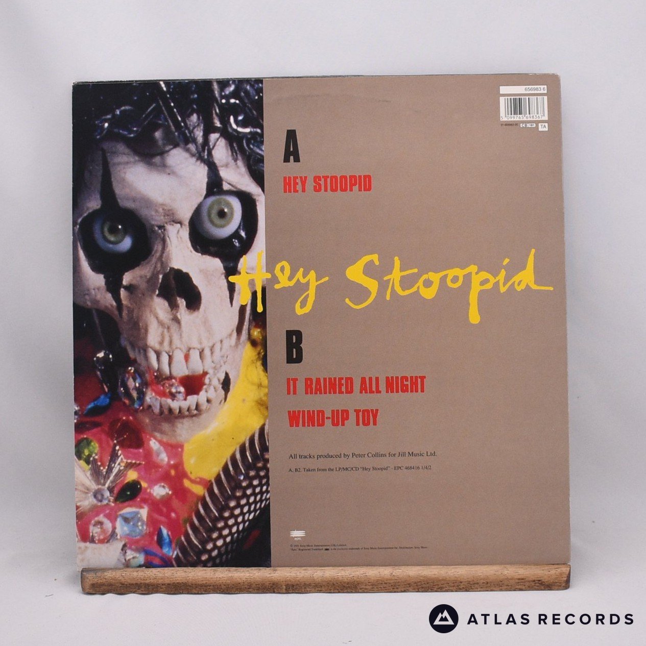 Alice Cooper - Hey Stoopid - 12" Vinyl Record - EX/VG+