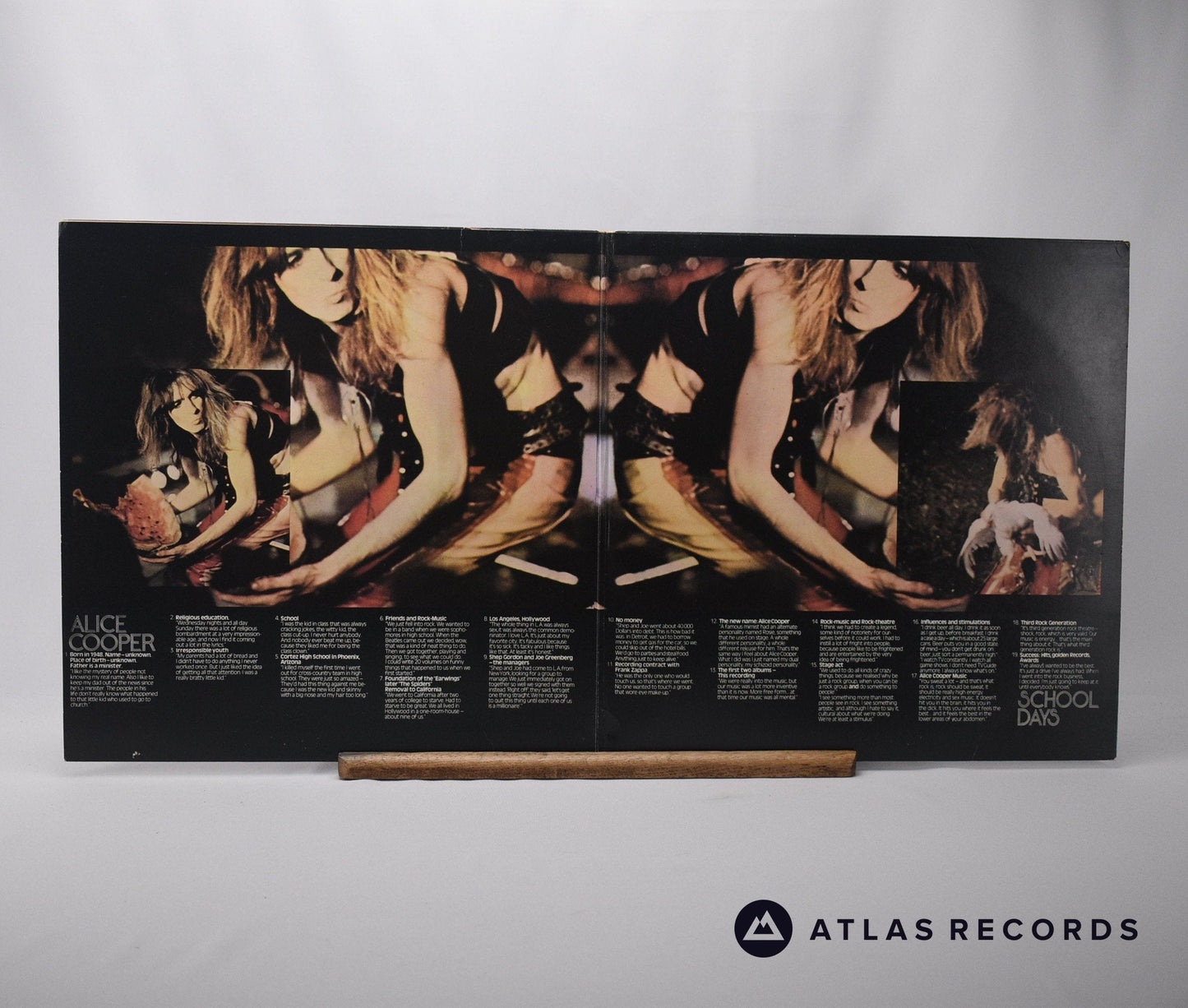 Alice Cooper - School Days - The Early Recordings - Double LP Vinyl Record