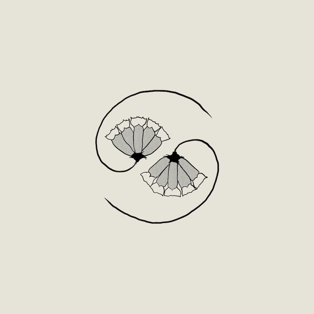 LP/10" - Godspeed Your Black Emperor! - G_d’s Pee AT STATE’S END!