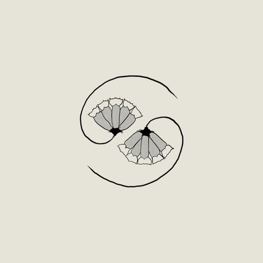 LP/10" - Godspeed Your Black Emperor! - G_d’s Pee AT STATE’S END!