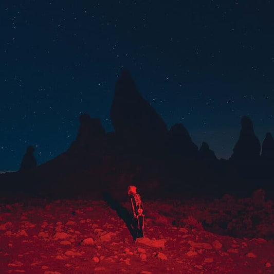 Phoebe Bridgers - Punisher LP