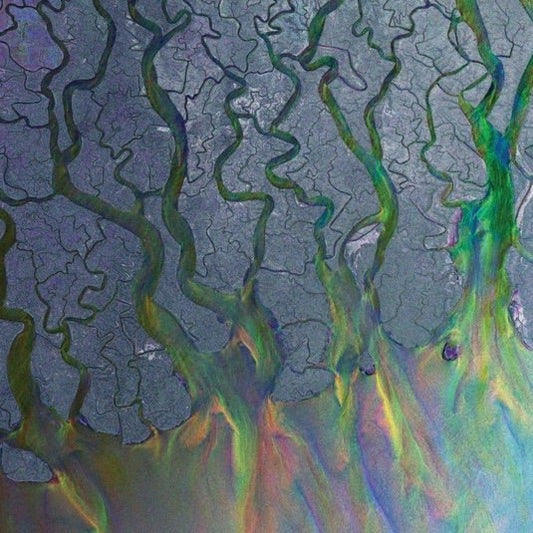 Alt-J - An Awesome Wave - Vinyl LP Record