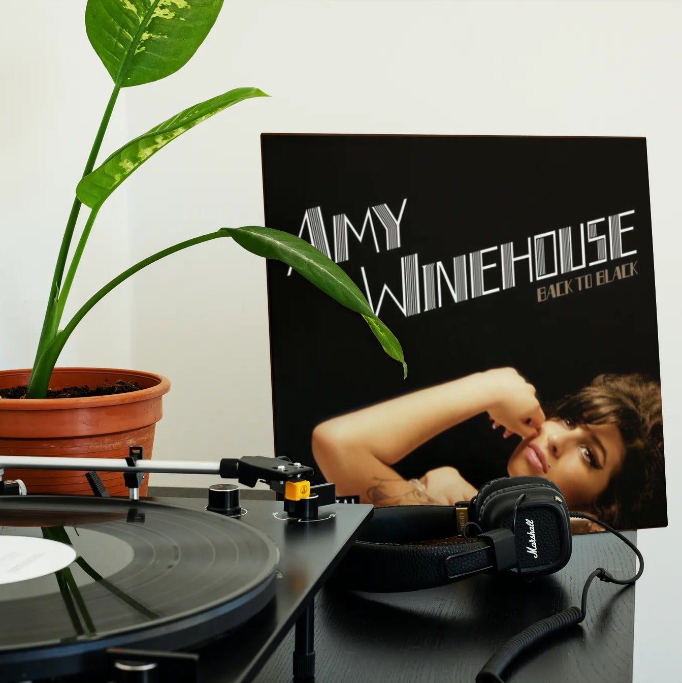 Amy Winehouse - Back to Black - Vinyl LP Record