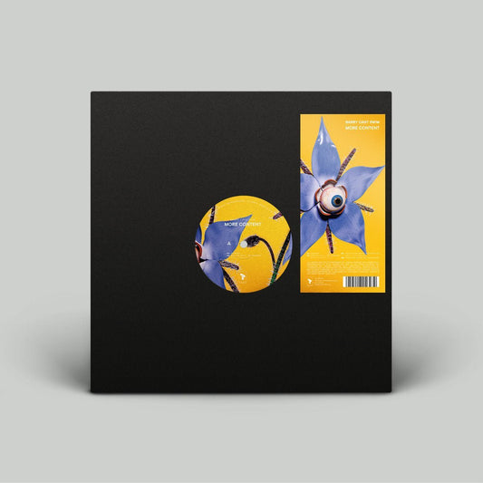 Barry Can't Swim - More Content - Vinyl EP Record