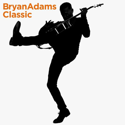 Bryan Adams - Classic - Vinyl LP Record