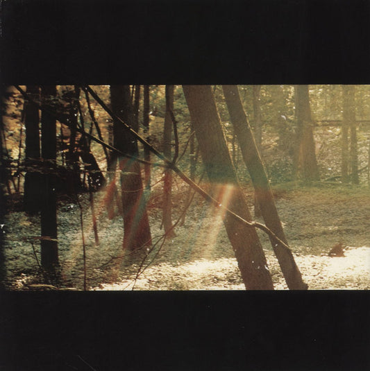 Childish Gambino Camp - 180 Gram US 2-LP vinyl set