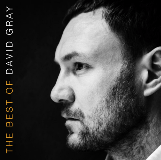 David Gray ‎- The Best Of David Gray - Vinyl LP Record