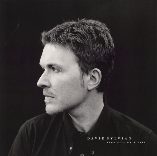 David Sylvian Dead Bees On Cake - 180gm UK 2-LP vinyl set