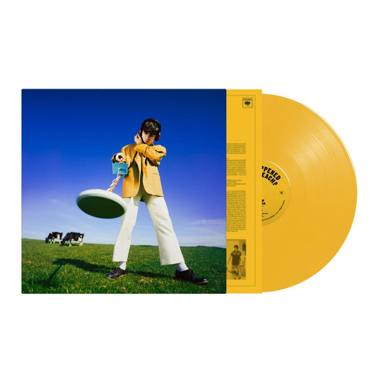 Declan McKenna - What Happened To The Beach? - Yellow Vinyl LP Record