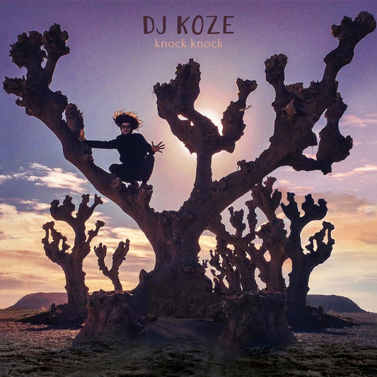DJ Koze - Knock Knock - Vinyl LP Record