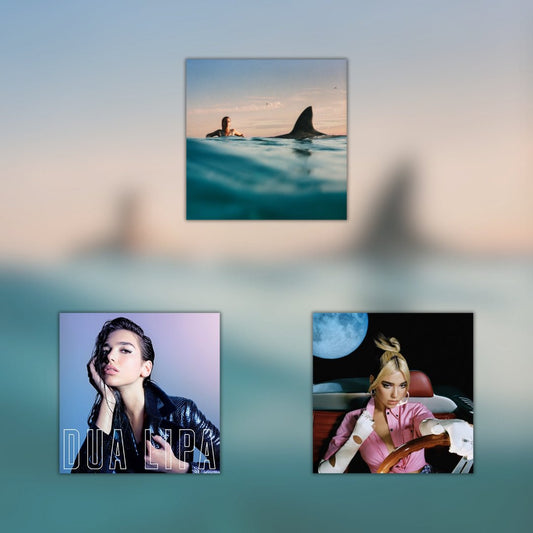 Dua Lipa - Vinyl LP Record Bundle