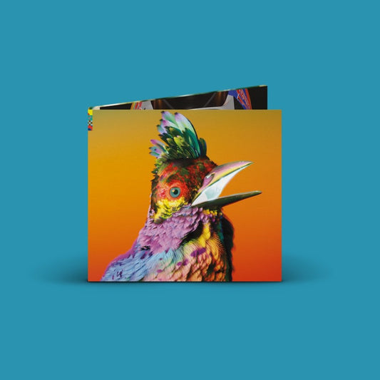 Flume – Palaces – Vinyl LP Record