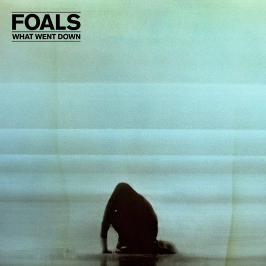 Foals - What Went Down - Vinyl LP Record
