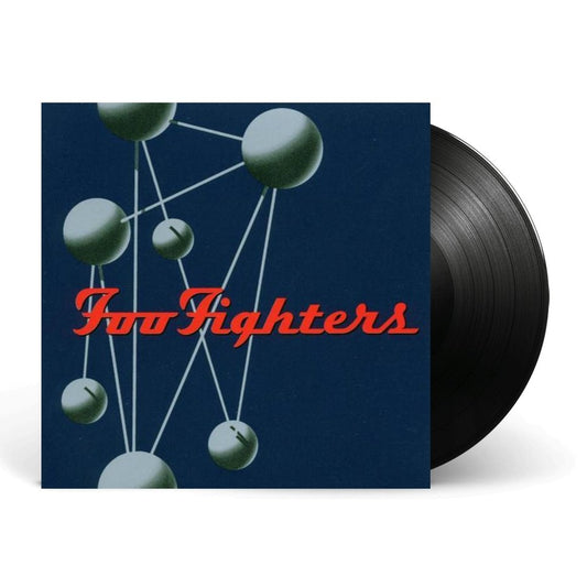 Foo Fighters - Colour and The Shape - Vinyl LP Record