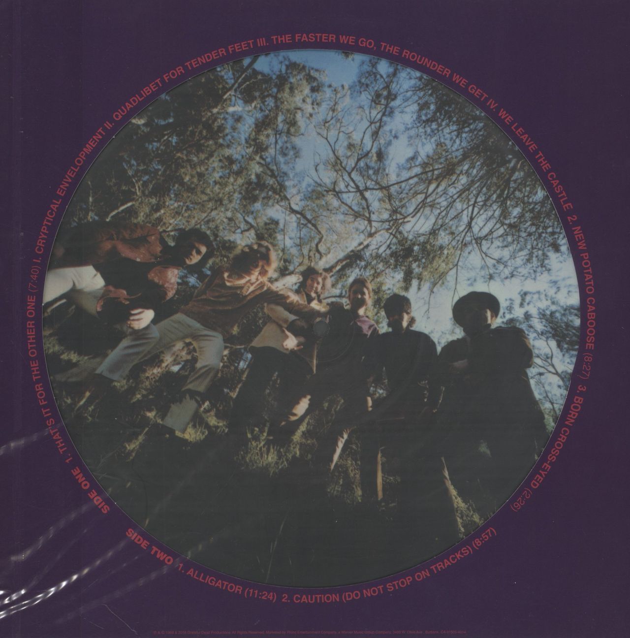 Grateful Dead Anthem Of The Sun US Picture disc LP