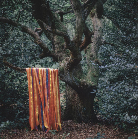 James Holden The Animal Spirits UK 2-LP vinyl set