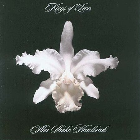 Kings of Leon - Aha Shake Heartbreak - Vinyl LP Record