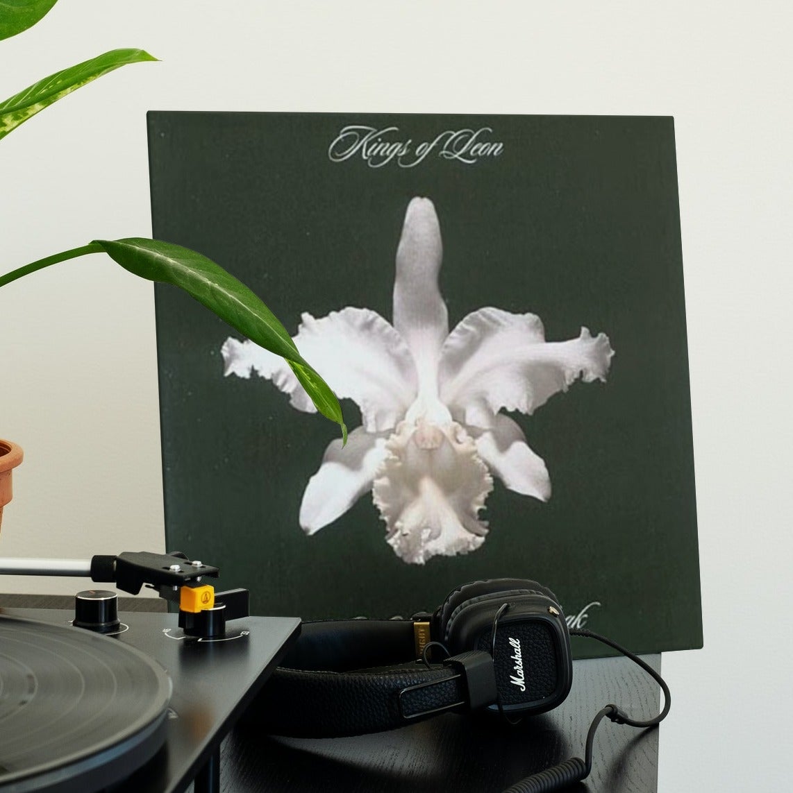 Kings of Leon - Aha Shake Heartbreak - Vinyl LP Record