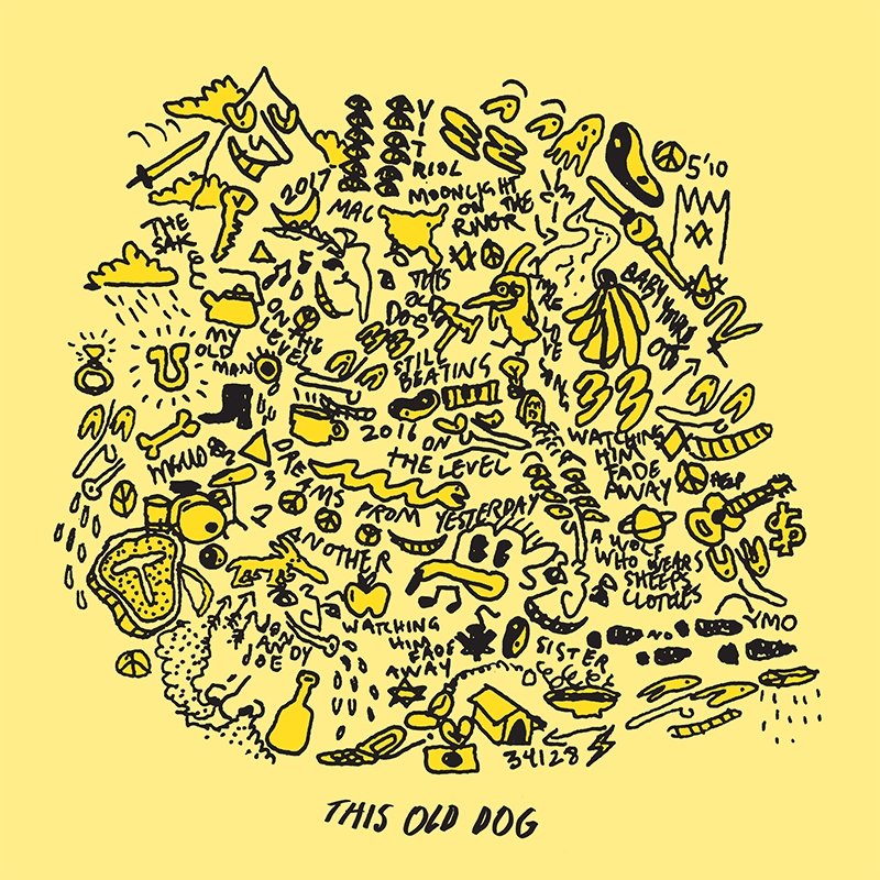 Mac Demarco - This Old Dog - Vinyl LP Record