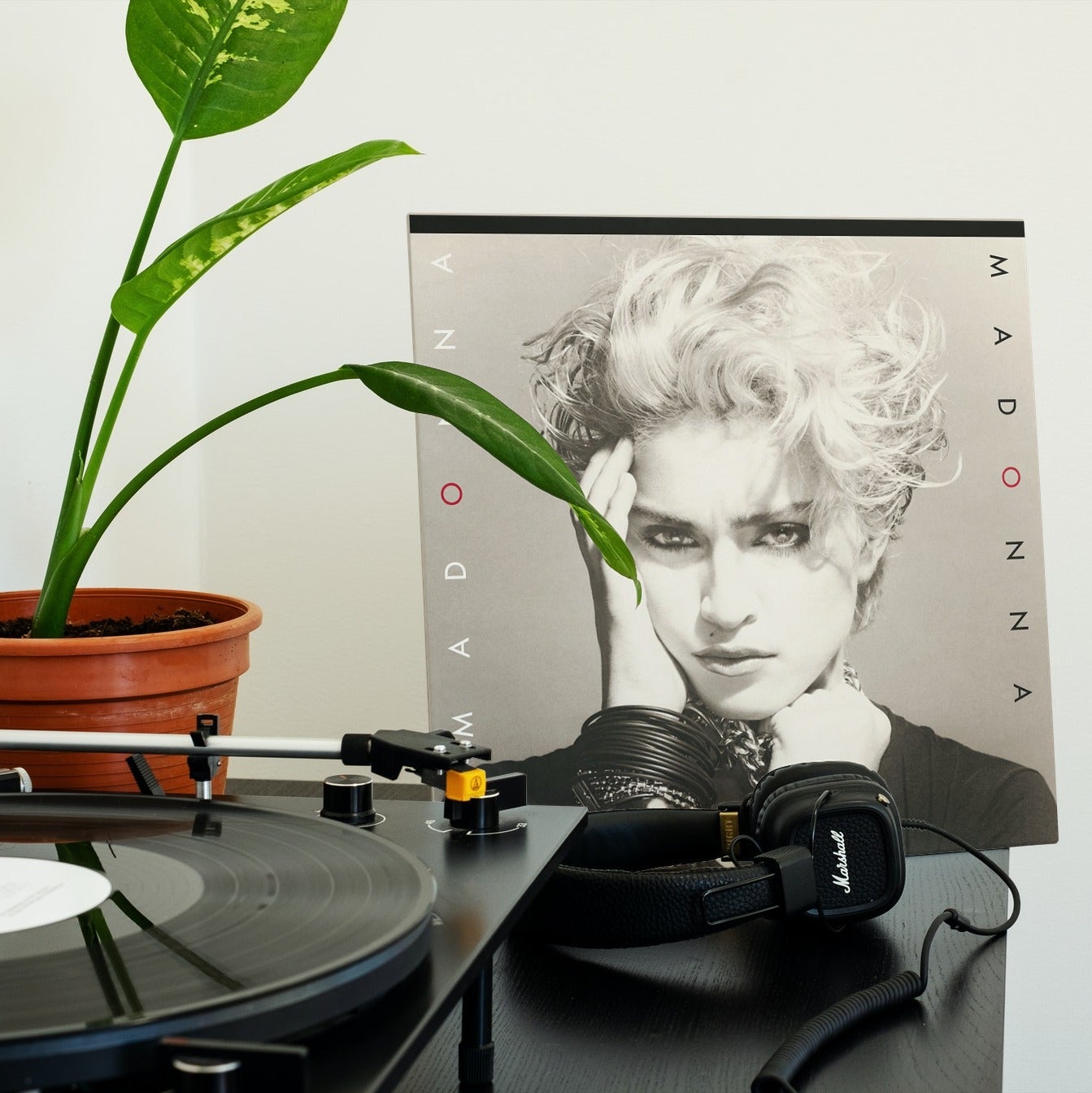 Madonna - Madonna - Vinyl LP Record