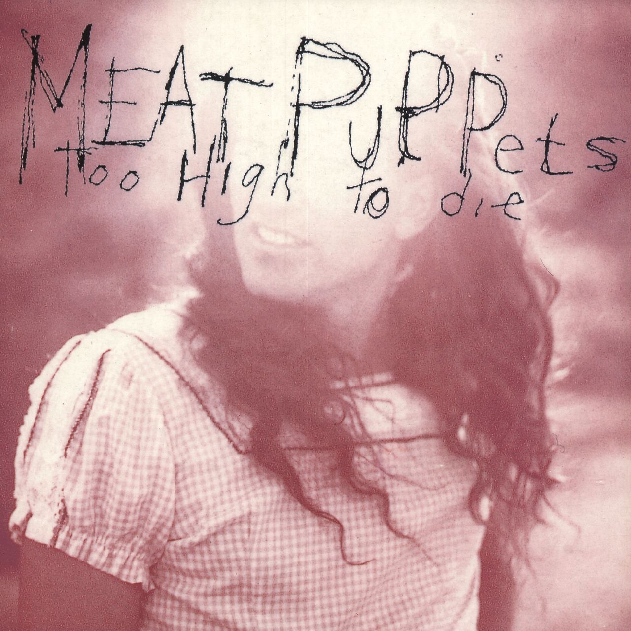 Meat Puppets Too High To Die - VG UK Vinyl LP