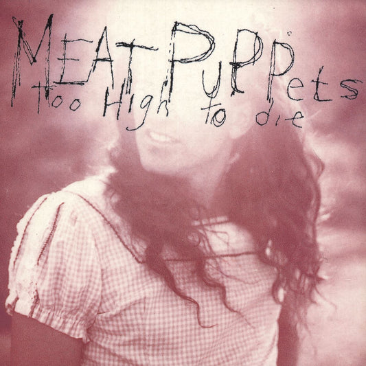 Meat Puppets Too High To Die - VG UK Vinyl LP
