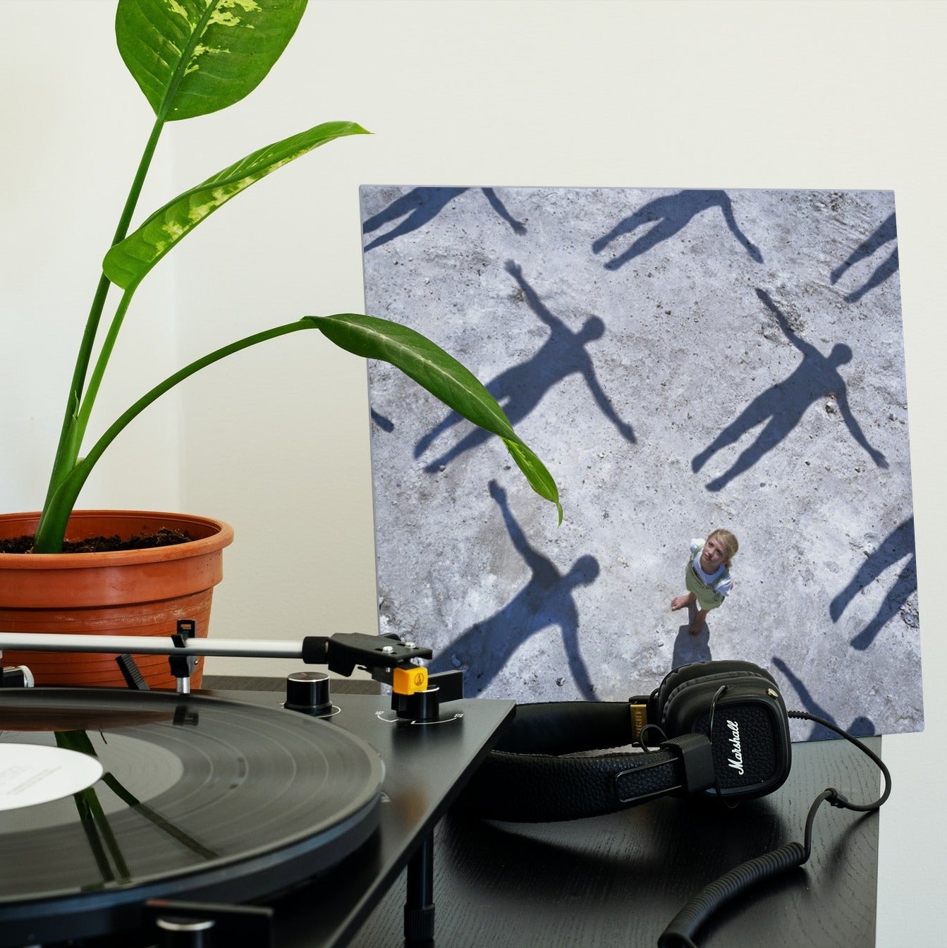 Muse - Absolution - Vinyl LP Record
