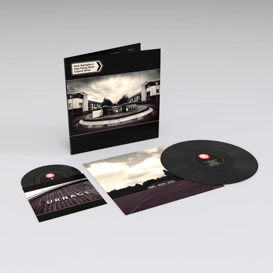 Noel Gallagher's High Flying Birds - Council Skies - Vinyl LP Record