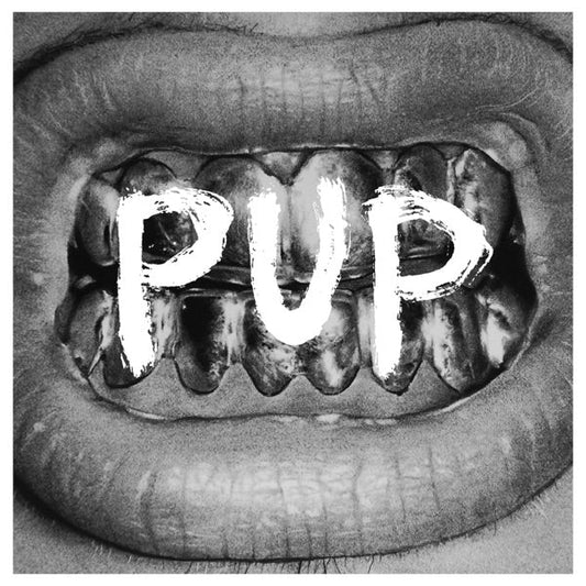 Pup - Pup - Vinyl LP Record