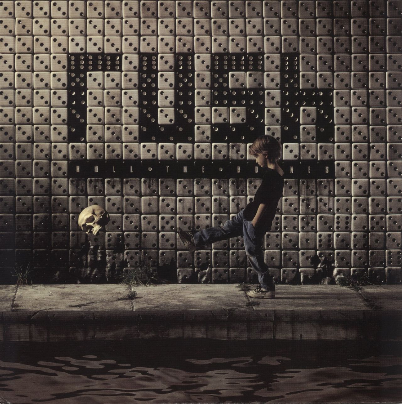 Rush Roll The Bones - 200 Gram Vinyl US Vinyl LP