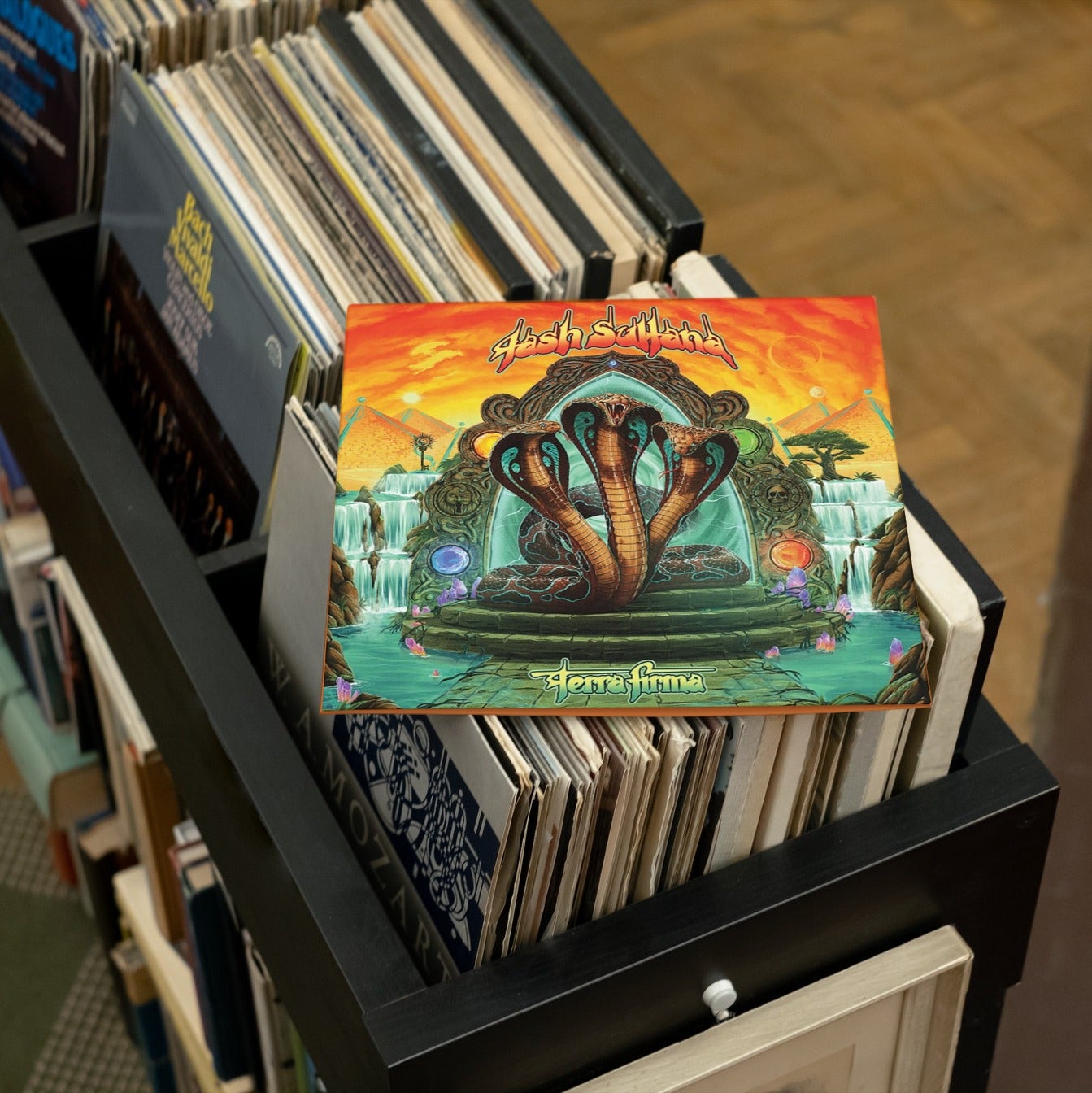 Tash Sultana - Terra Firma - Vinyl LP Record