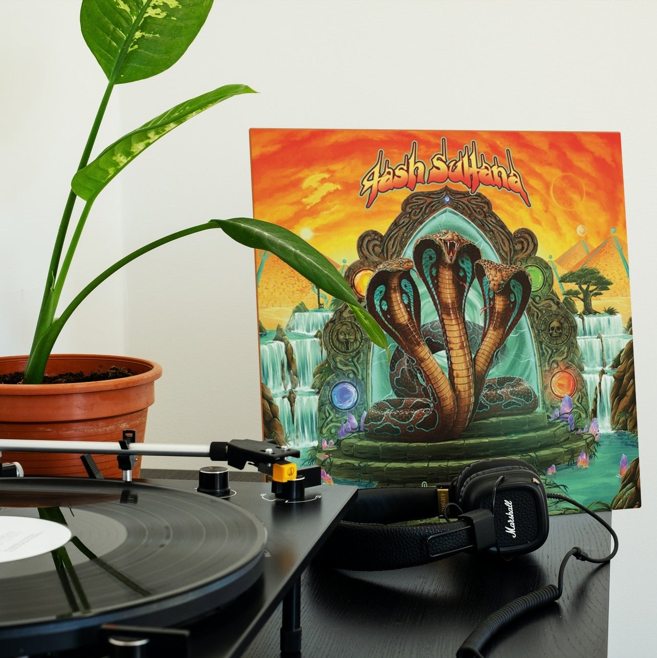 Tash Sultana - Terra Firma - Vinyl LP Record
